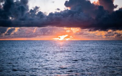 Blefaroplastia en Barcelona: cuando la mirada necesita su propio ritual